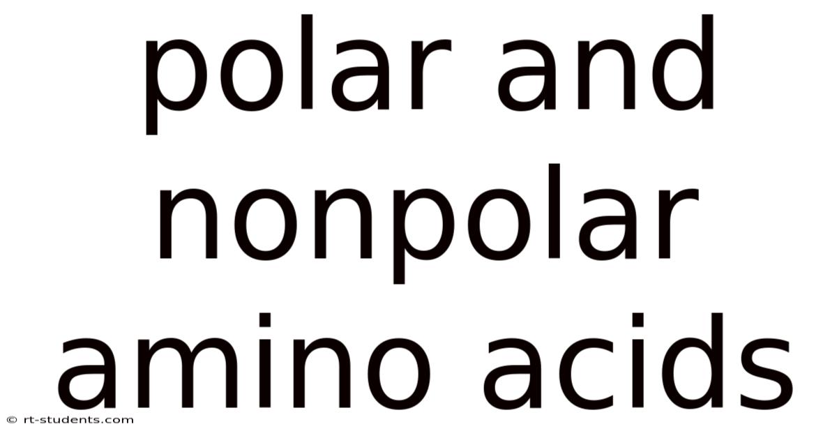 Polar And Nonpolar Amino Acids