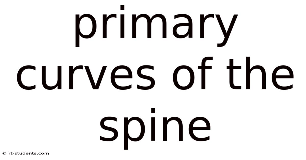 Primary Curves Of The Spine