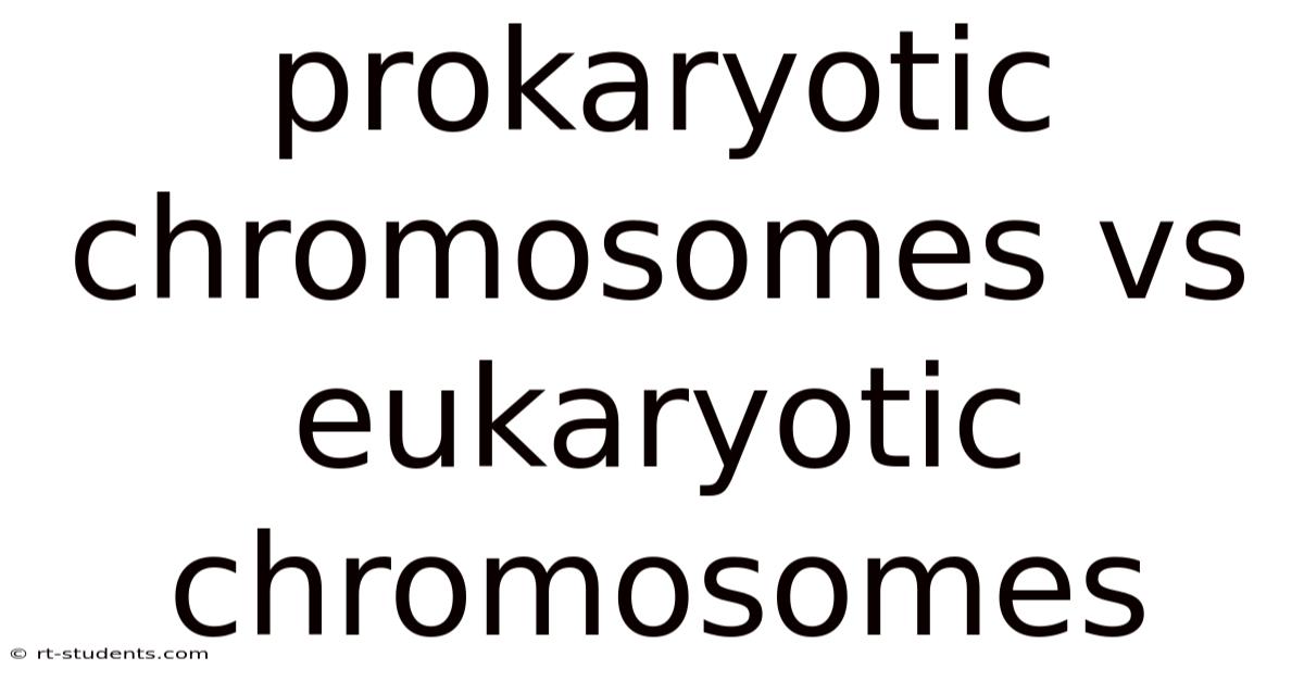 Prokaryotic Chromosomes Vs Eukaryotic Chromosomes