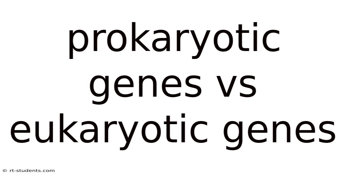 Prokaryotic Genes Vs Eukaryotic Genes