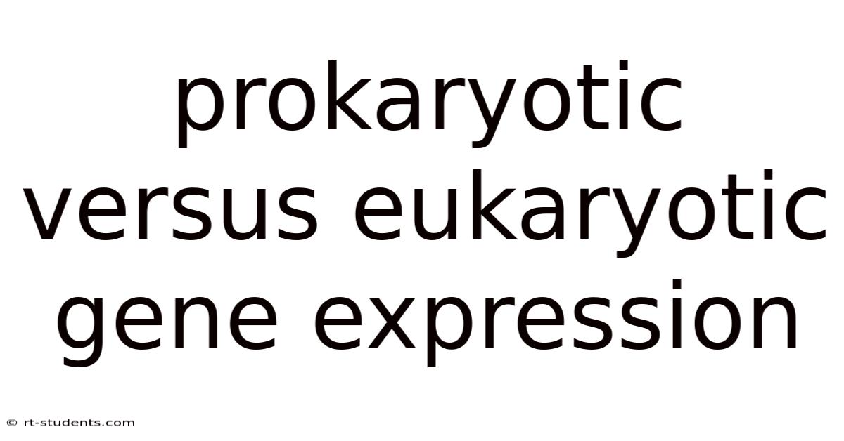 Prokaryotic Versus Eukaryotic Gene Expression
