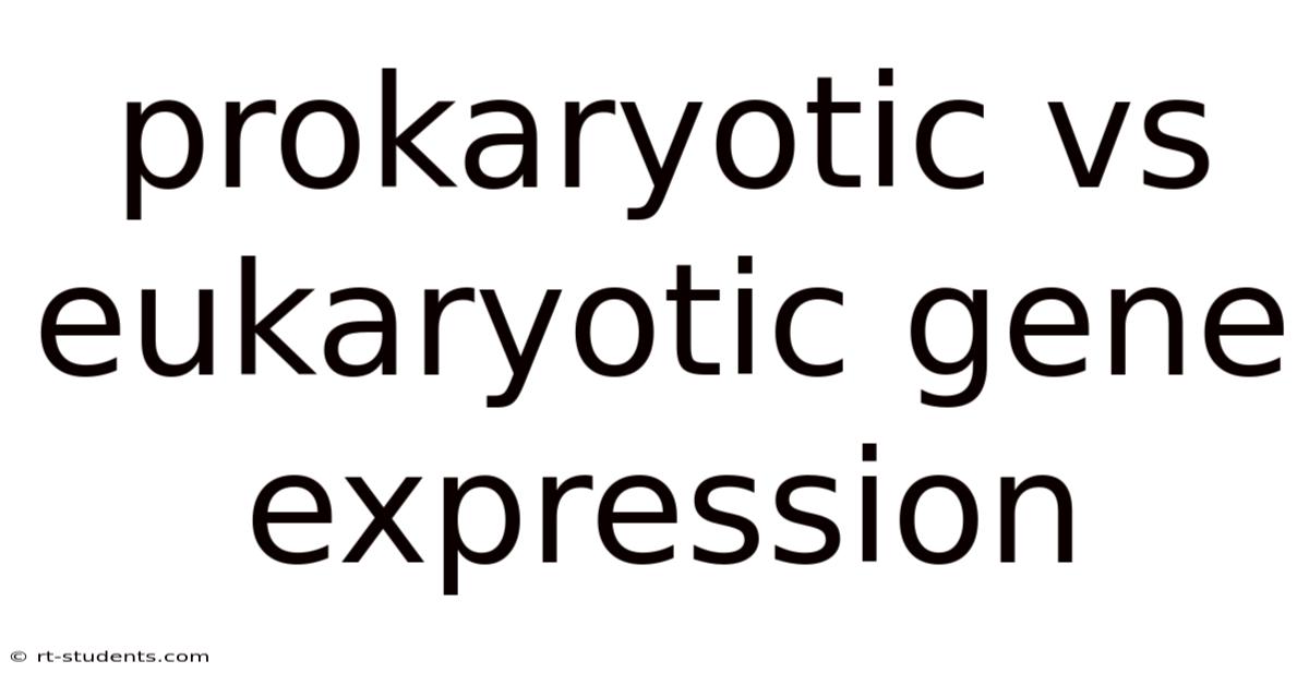 Prokaryotic Vs Eukaryotic Gene Expression