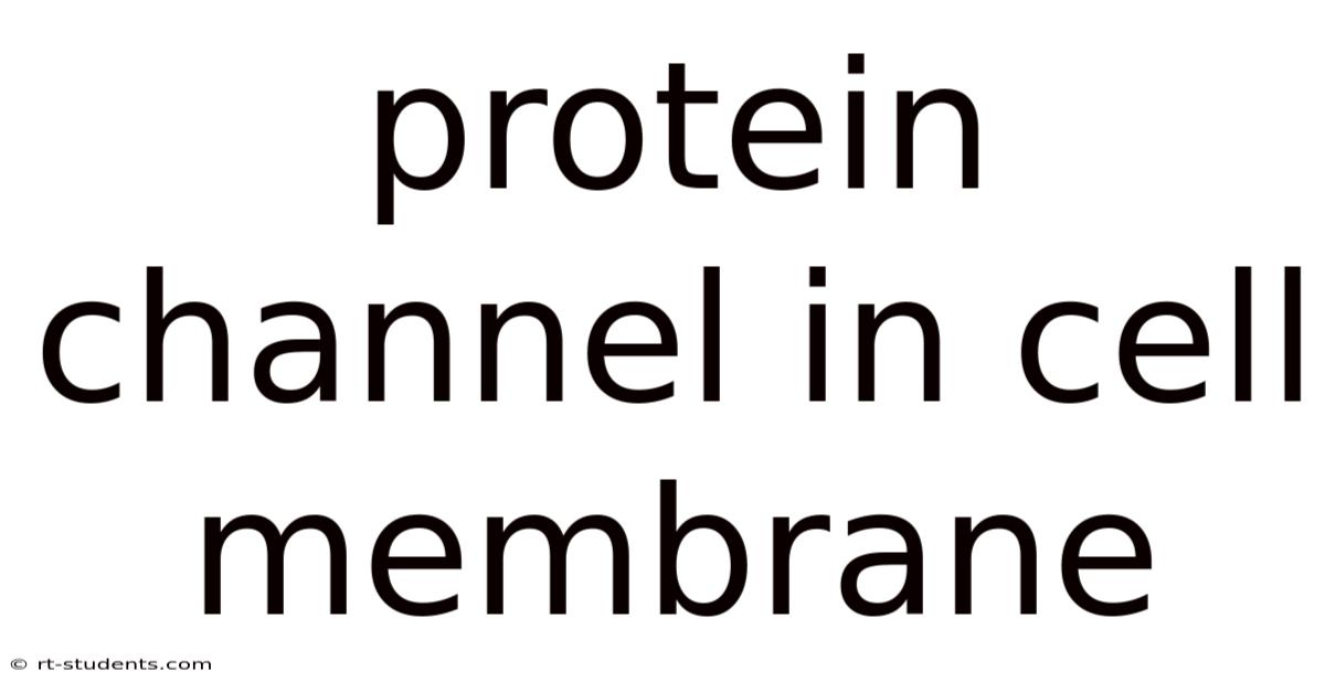 Protein Channel In Cell Membrane