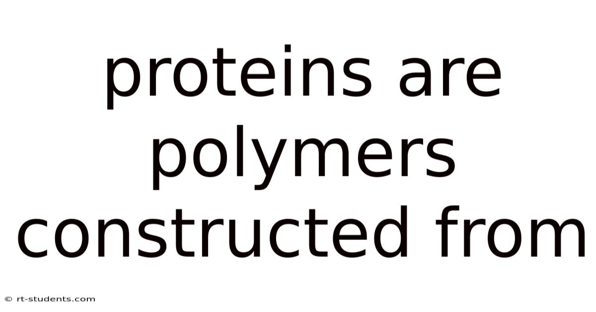 Proteins Are Polymers Constructed From