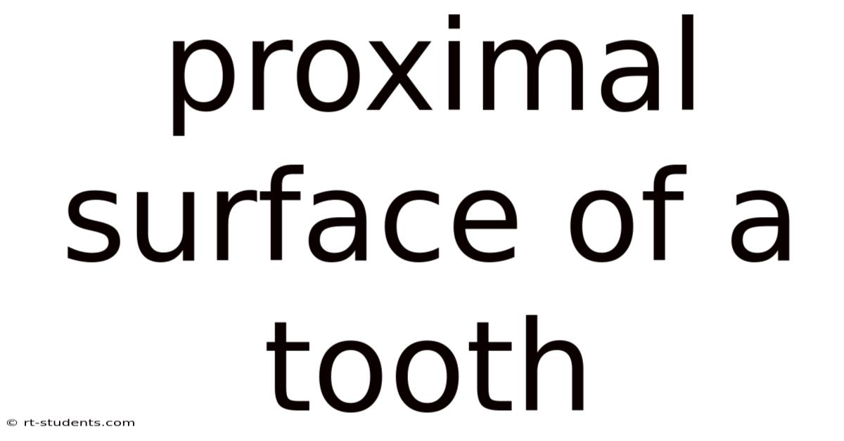 Proximal Surface Of A Tooth