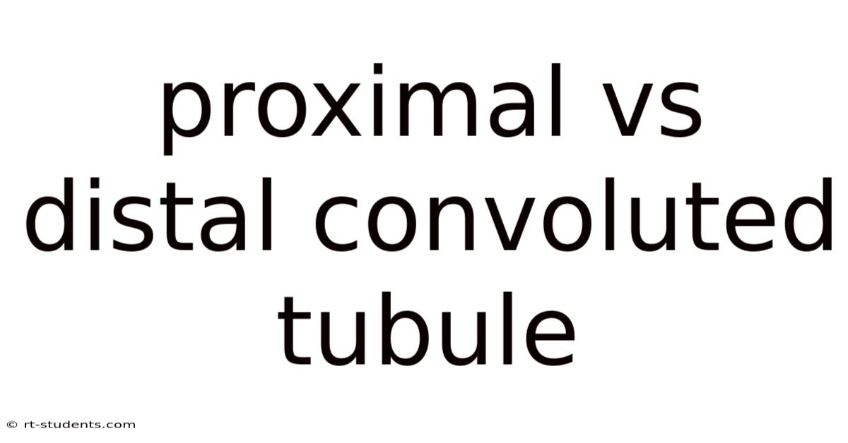 Proximal Vs Distal Convoluted Tubule