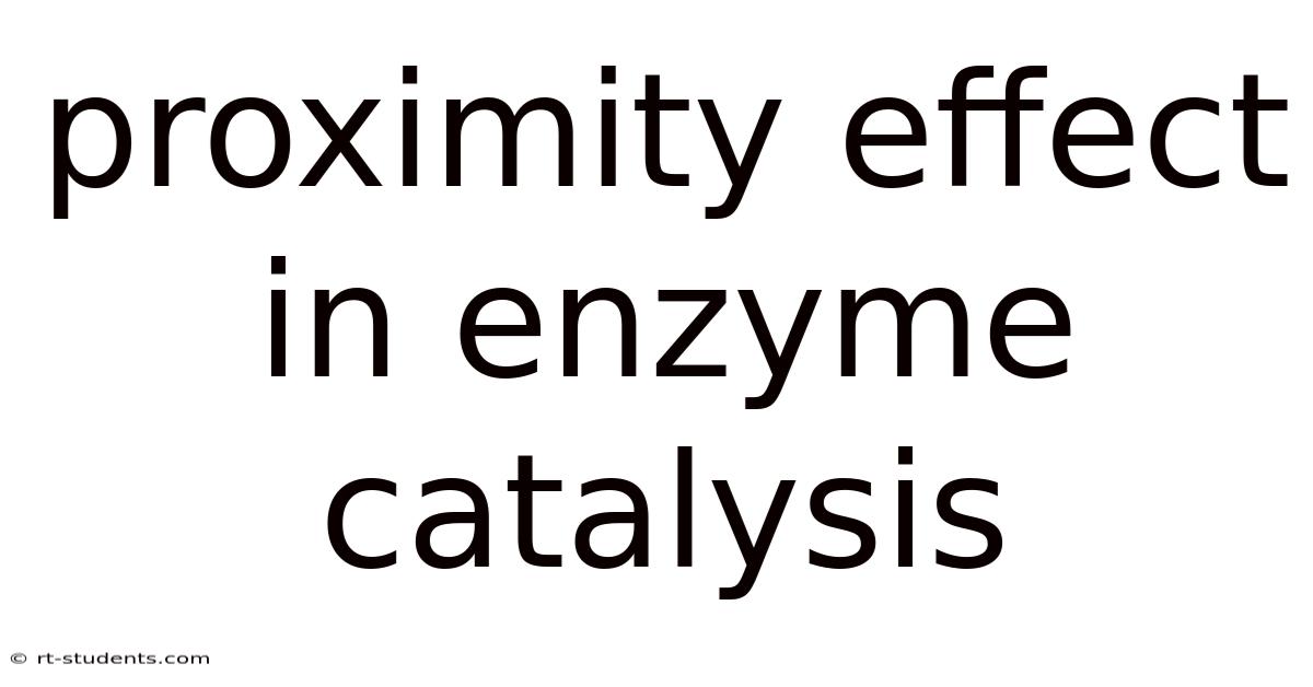 Proximity Effect In Enzyme Catalysis