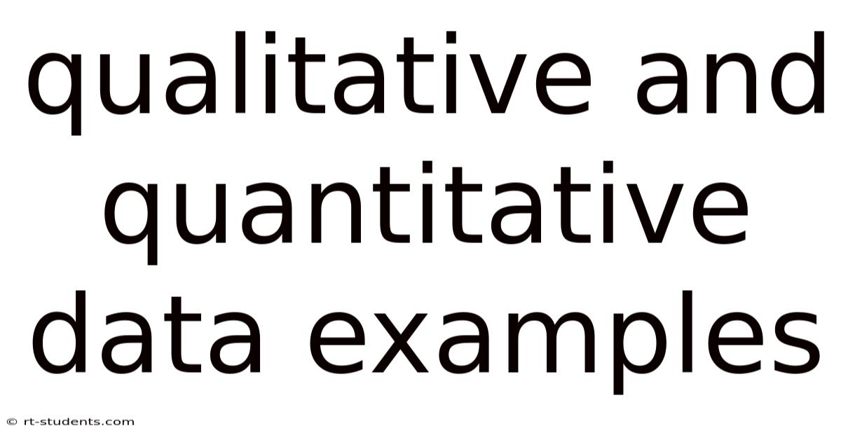 Qualitative And Quantitative Data Examples