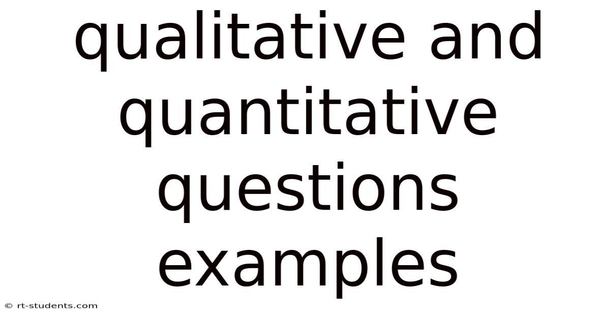Qualitative And Quantitative Questions Examples