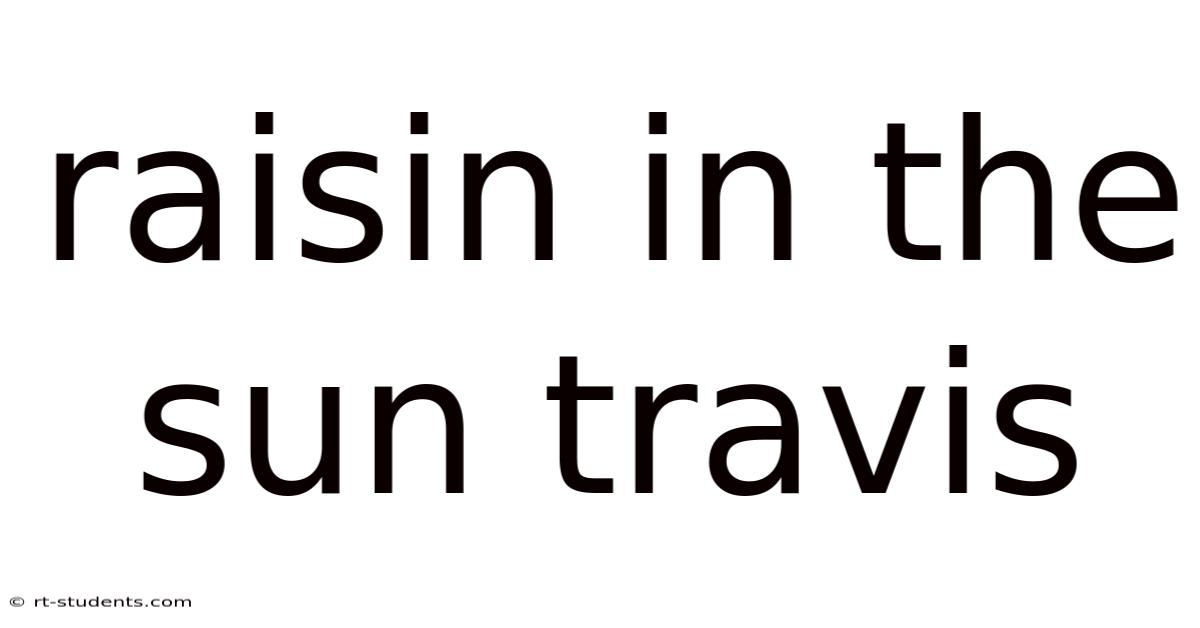 Raisin In The Sun Travis