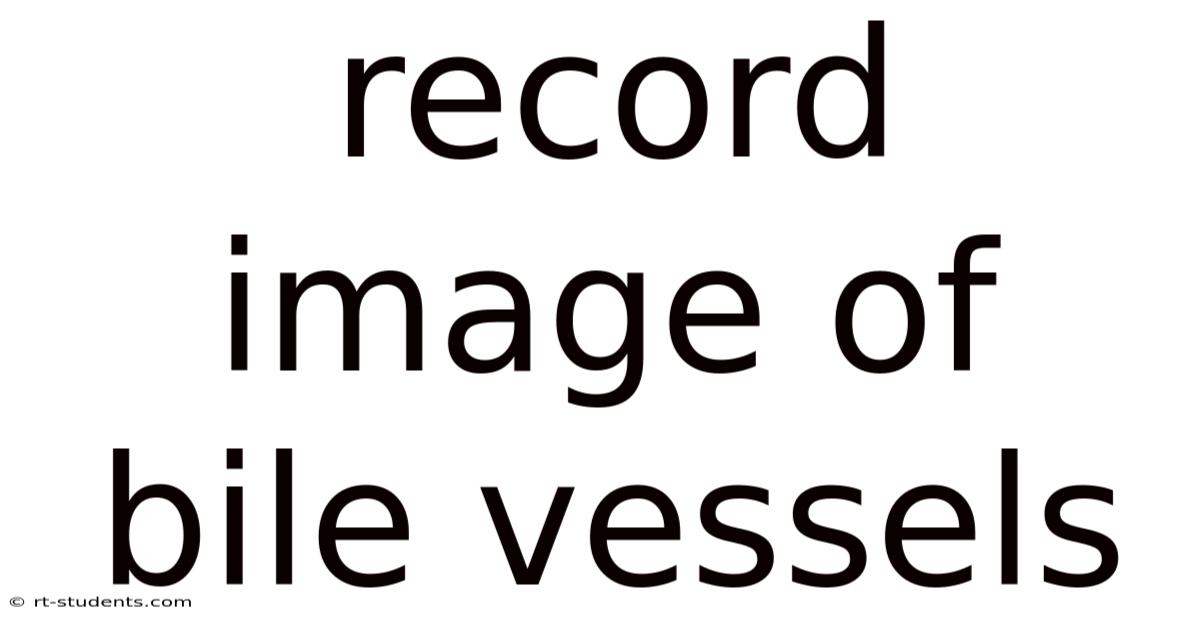 Record Image Of Bile Vessels
