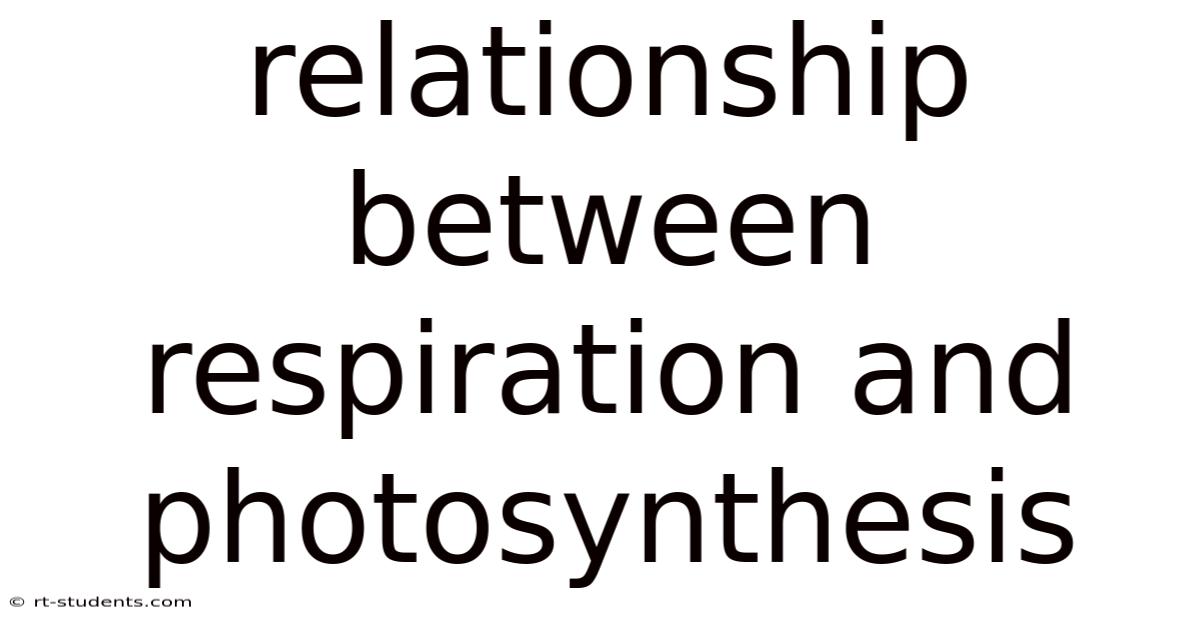 Relationship Between Respiration And Photosynthesis