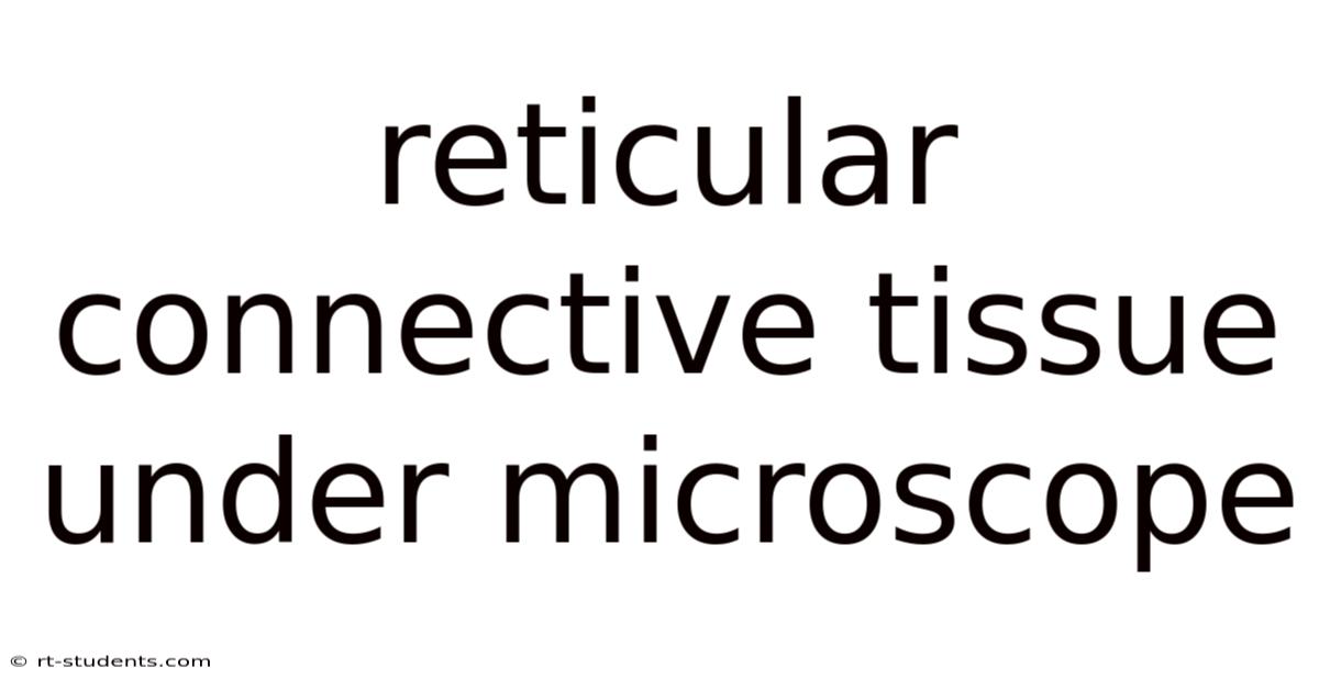Reticular Connective Tissue Under Microscope