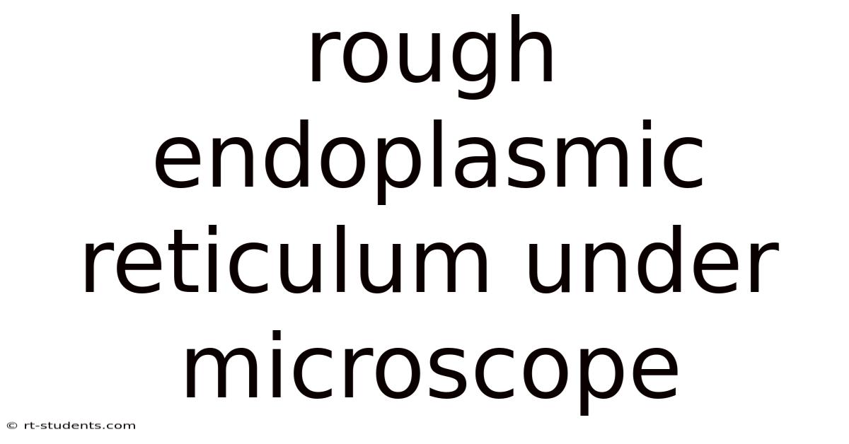 Rough Endoplasmic Reticulum Under Microscope