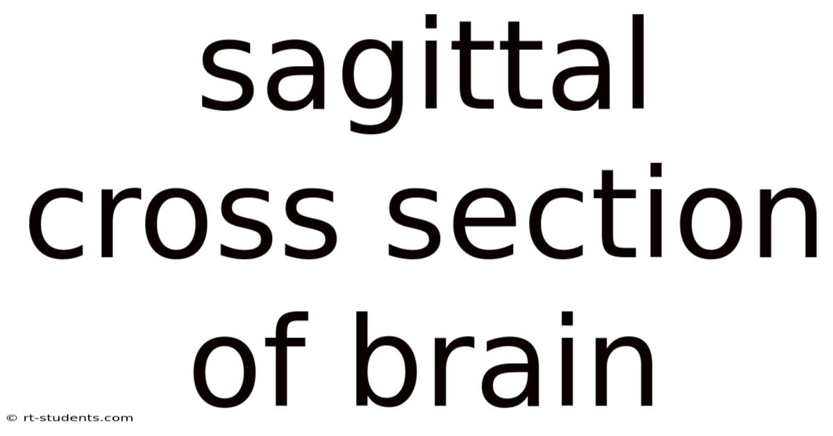 Sagittal Cross Section Of Brain
