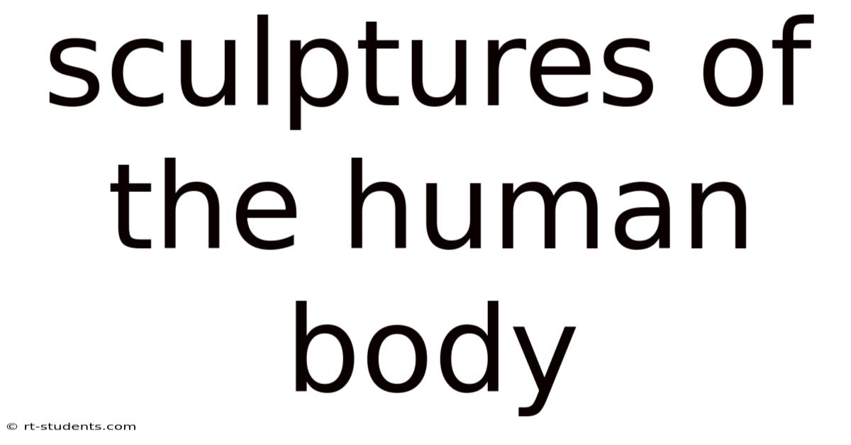 Sculptures Of The Human Body
