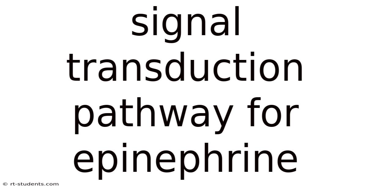 Signal Transduction Pathway For Epinephrine