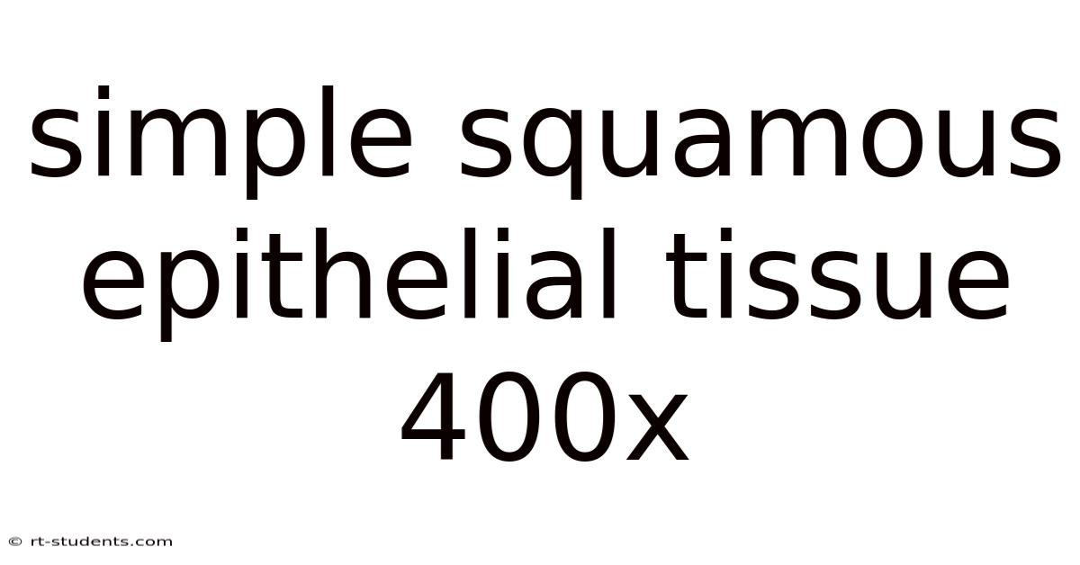Simple Squamous Epithelial Tissue 400x