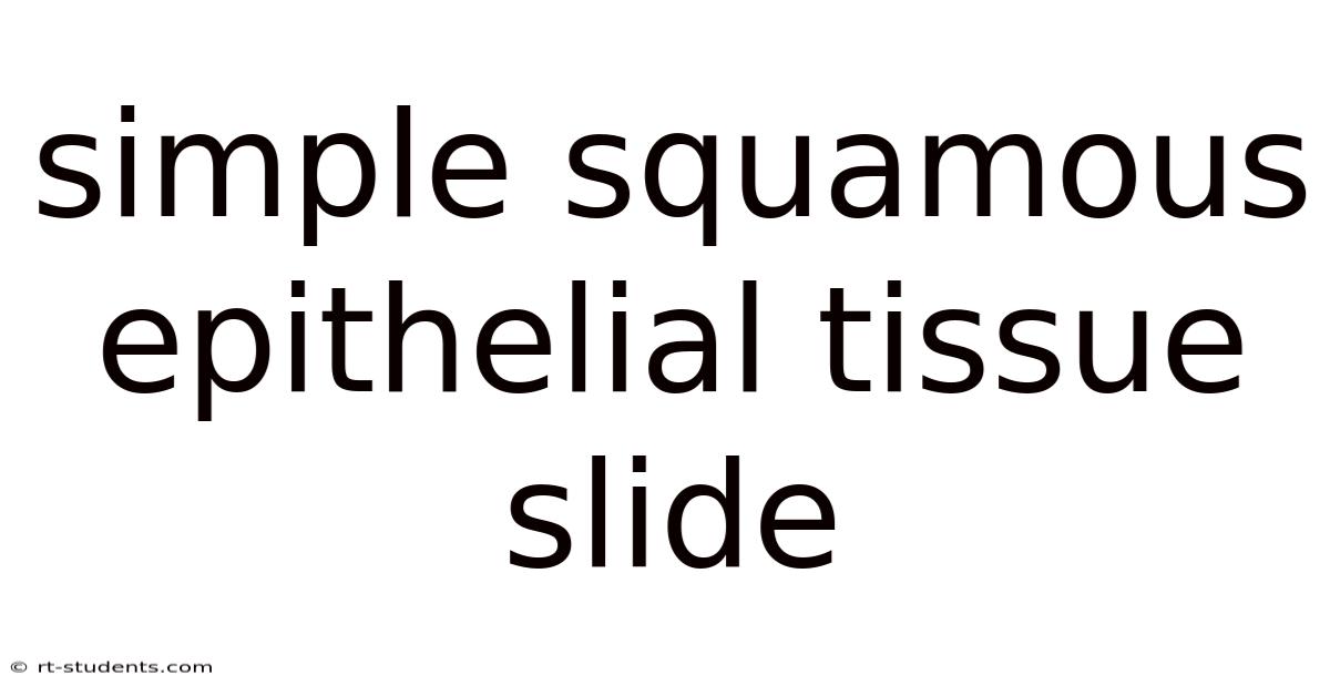 Simple Squamous Epithelial Tissue Slide