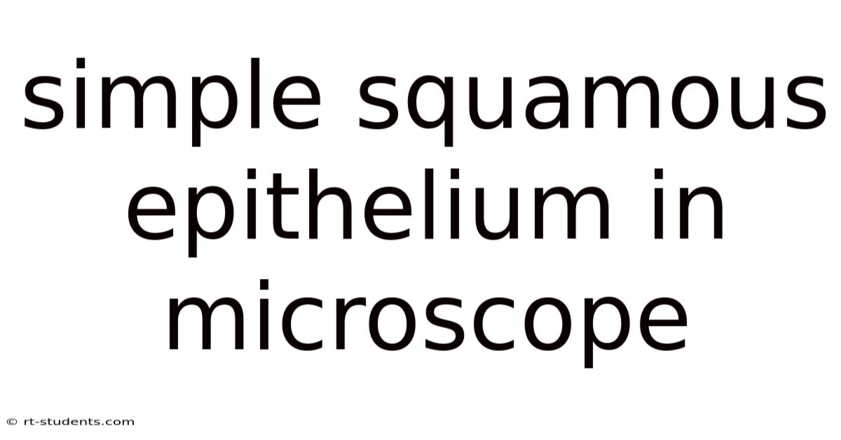 Simple Squamous Epithelium In Microscope