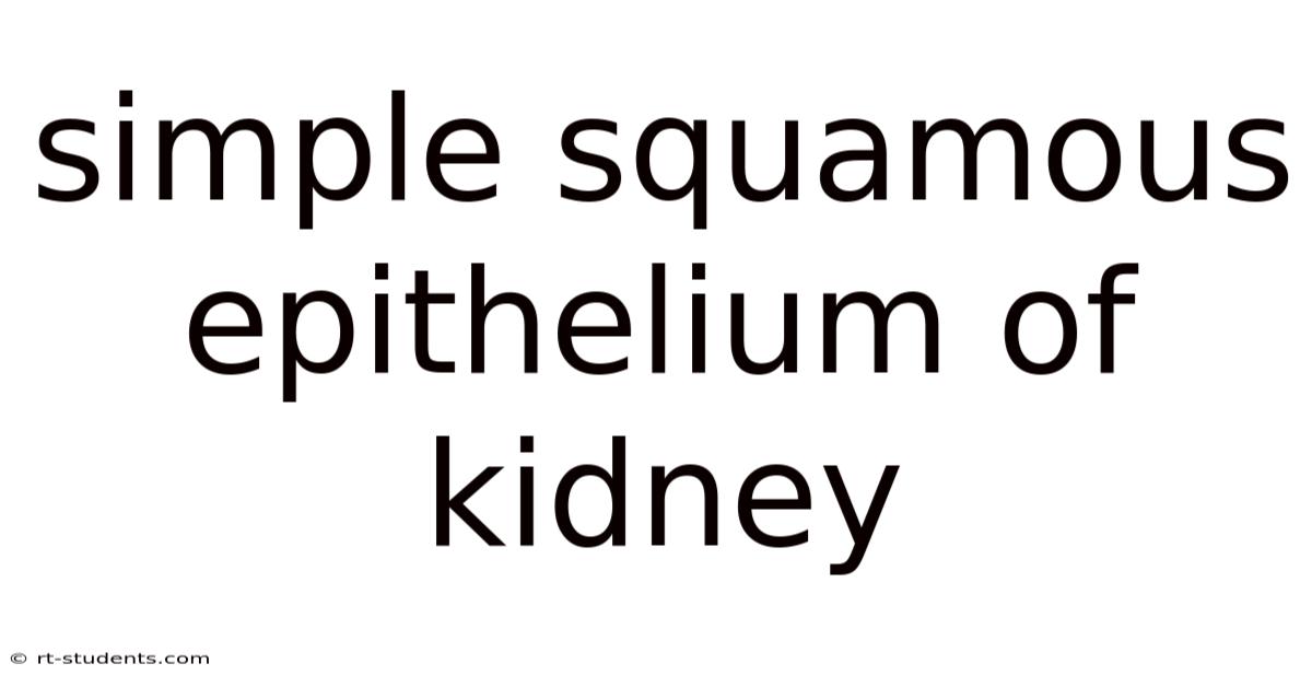 Simple Squamous Epithelium Of Kidney