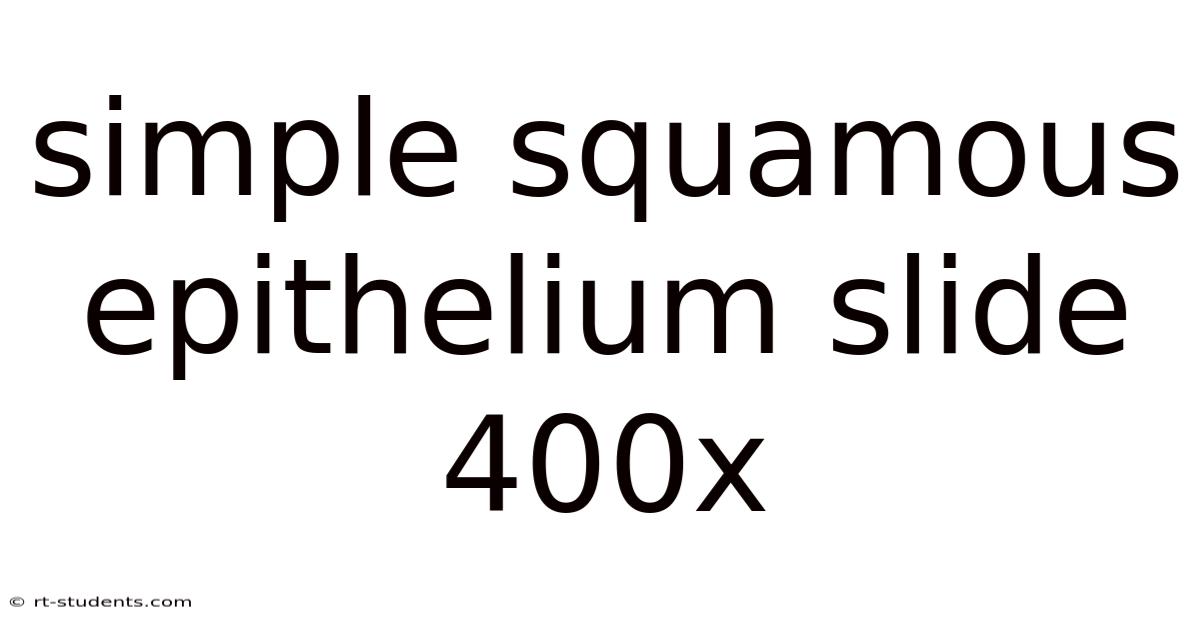 Simple Squamous Epithelium Slide 400x