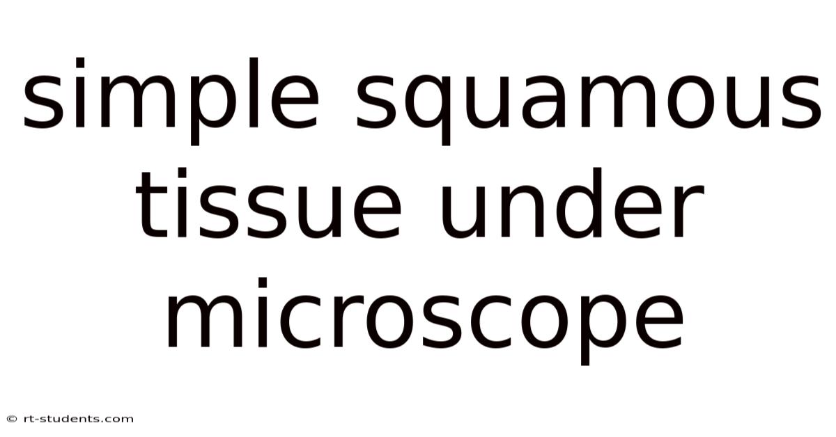 Simple Squamous Tissue Under Microscope