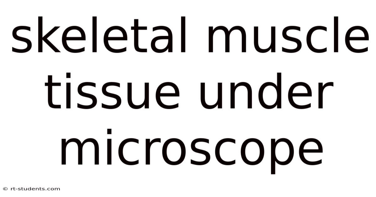Skeletal Muscle Tissue Under Microscope