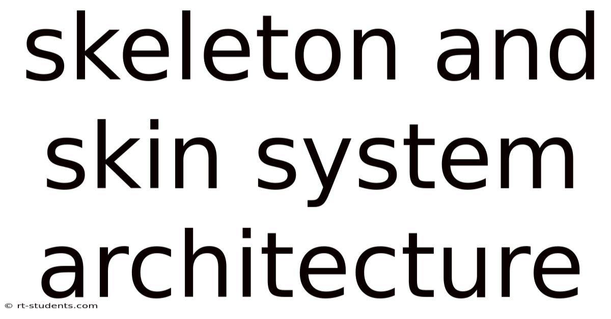 Skeleton And Skin System Architecture