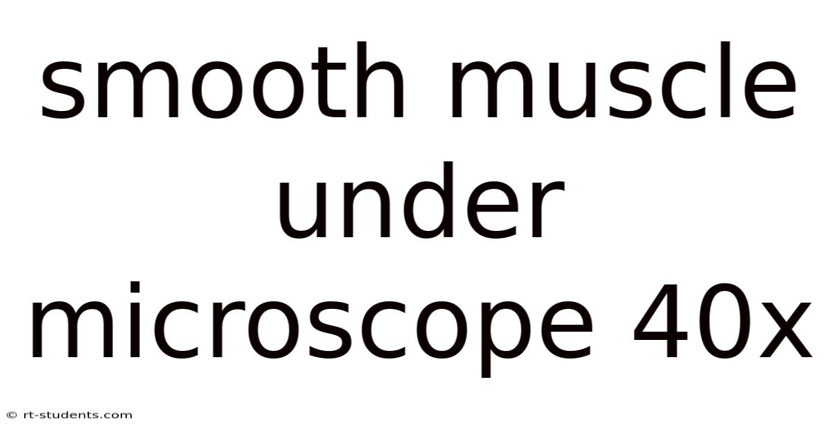 Smooth Muscle Under Microscope 40x