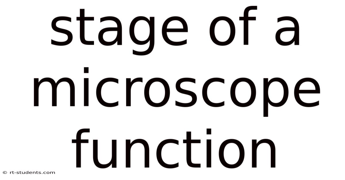 Stage Of A Microscope Function