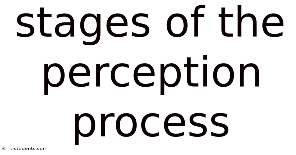 Stages Of The Perception Process