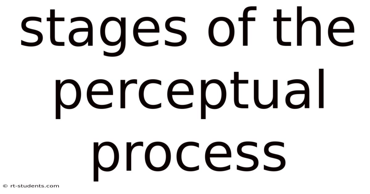 Stages Of The Perceptual Process