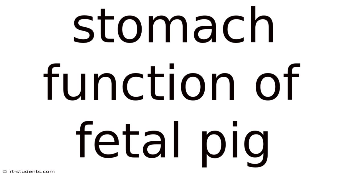 Stomach Function Of Fetal Pig