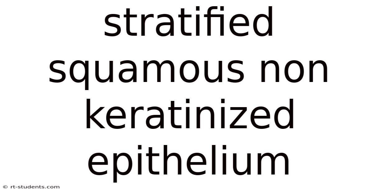 Stratified Squamous Non Keratinized Epithelium