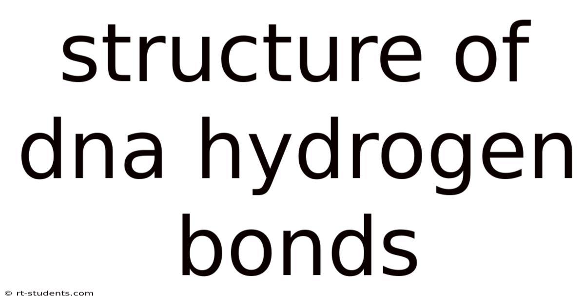 Structure Of Dna Hydrogen Bonds