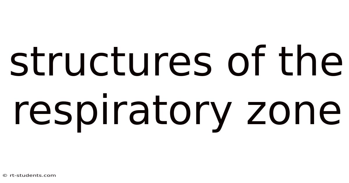 Structures Of The Respiratory Zone