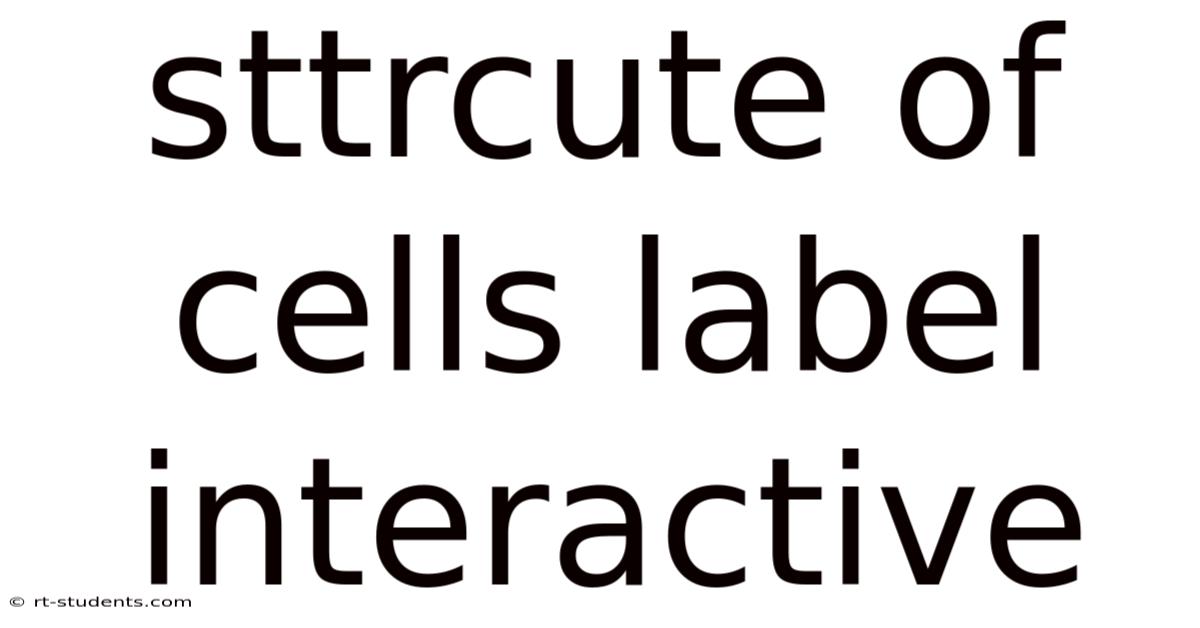 Sttrcute Of Cells Label Interactive