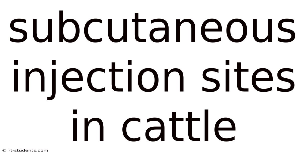 Subcutaneous Injection Sites In Cattle