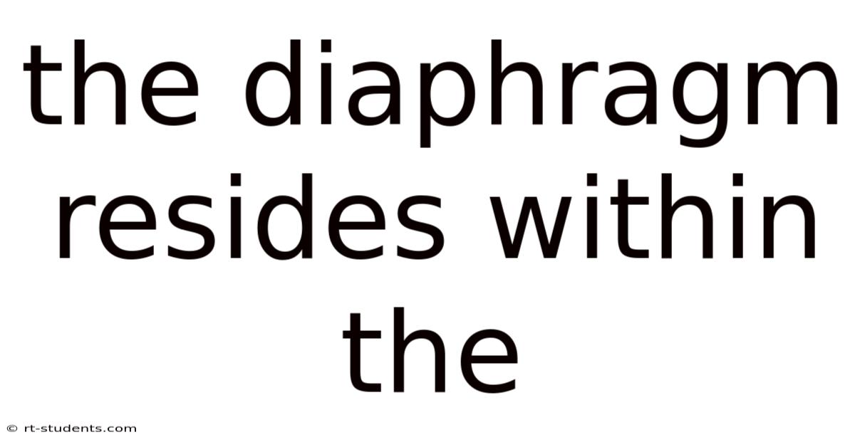 The Diaphragm Resides Within The
