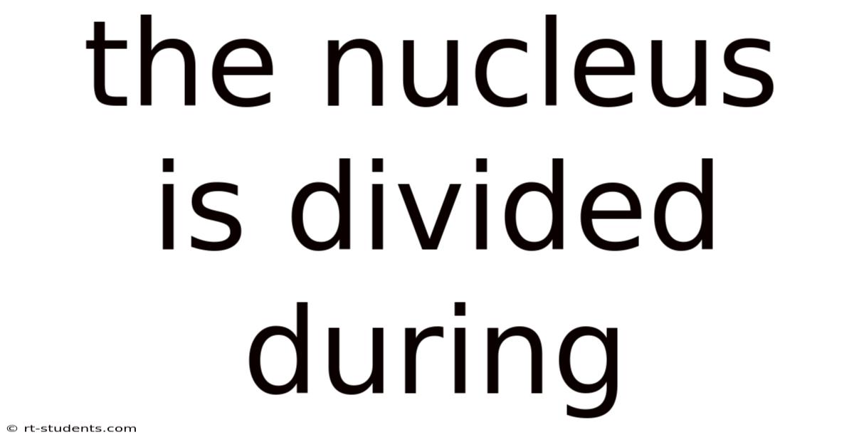 The Nucleus Is Divided During