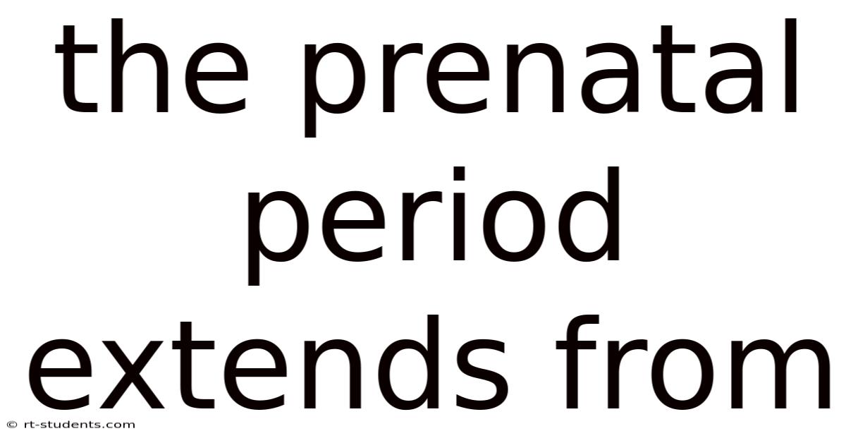 The Prenatal Period Extends From