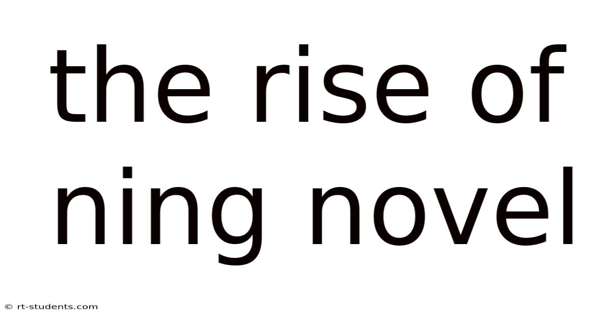 The Rise Of Ning Novel
