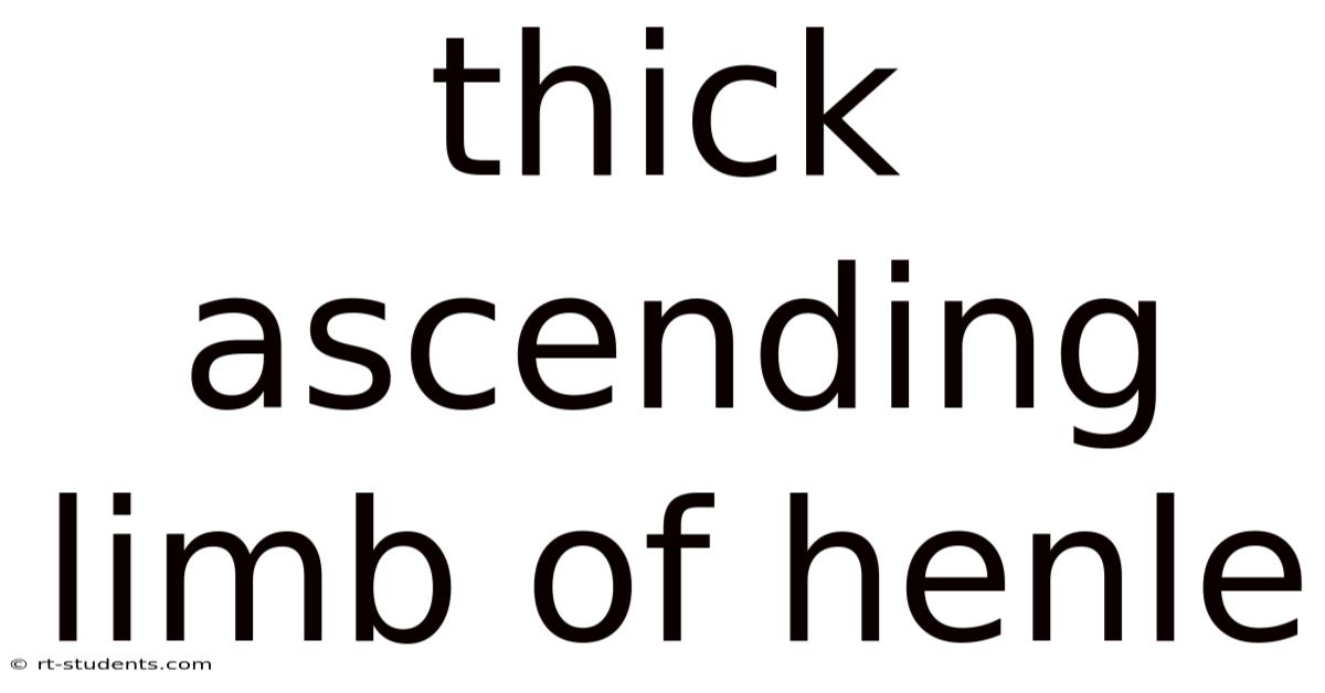Thick Ascending Limb Of Henle