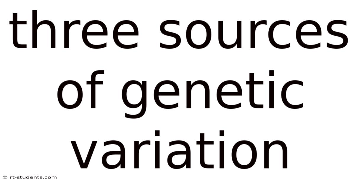 Three Sources Of Genetic Variation