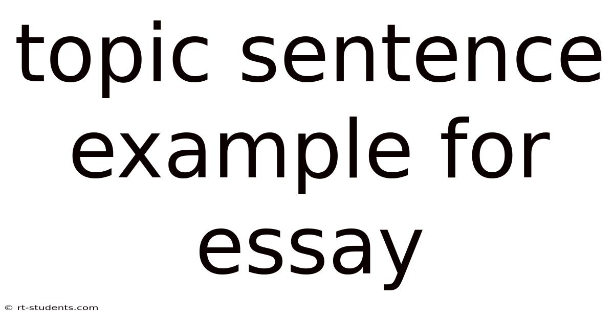 Topic Sentence Example For Essay