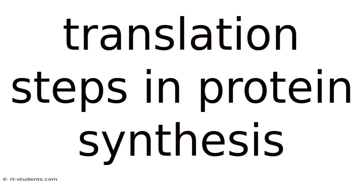 Translation Steps In Protein Synthesis