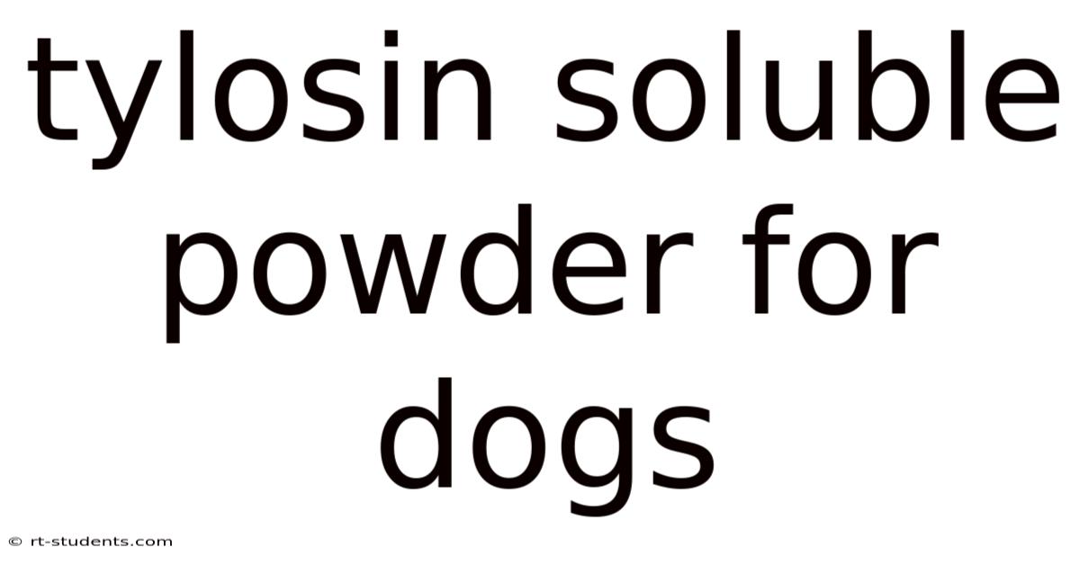 Tylosin Soluble Powder For Dogs