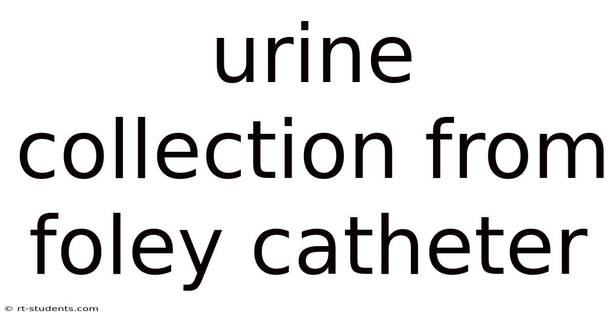 Urine Collection From Foley Catheter