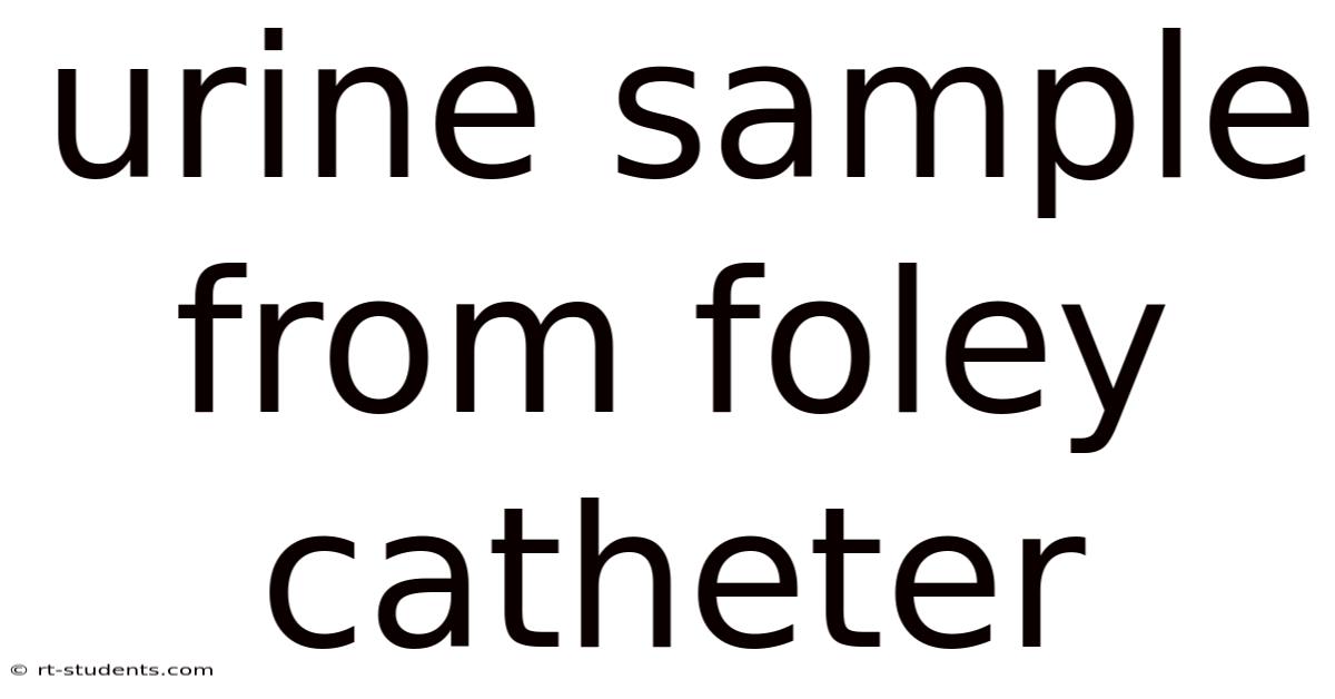 Urine Sample From Foley Catheter